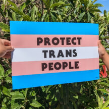 trans flag in back with words protect trans people poster