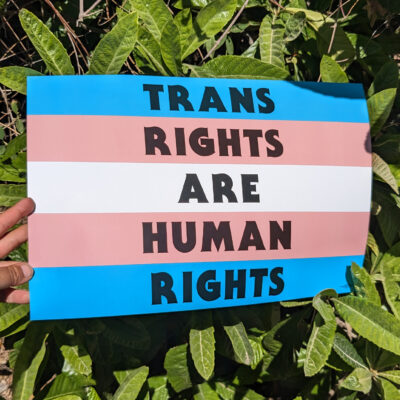 trans flag with the words trans rights are human rights in black poster