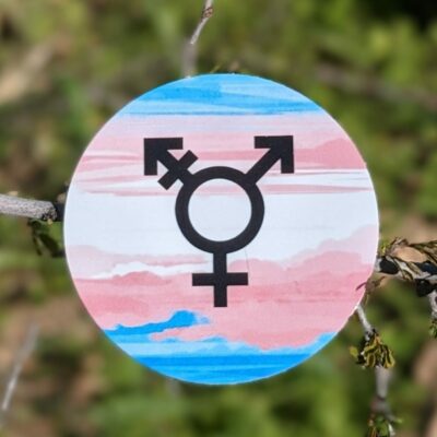 transgender symbol with flag background sticker