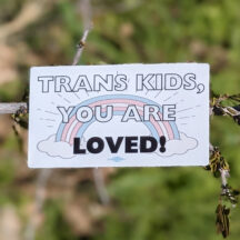 trans kids you are loved sticker
